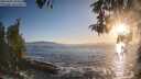 ./images/koeye/fitz-hugh/20260503/fitz-hugh20260503_194501M.jpg