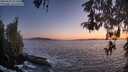 ./images/koeye/fitz-hugh/20260503/fitz-hugh20260503_211502M.jpg