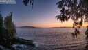 ./images/koeye/fitz-hugh/20260503/fitz-hugh20260503_212501M.jpg