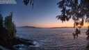 ./images/koeye/fitz-hugh/20260503/fitz-hugh20260503_213501M.jpg