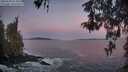 ./images/koeye/fitz-hugh/20260504/fitz-hugh20260504_054501M.jpg