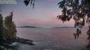 ./images/koeye/fitz-hugh/20260504/fitz-hugh20260504_055001M.jpg