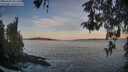 ./images/koeye/fitz-hugh/20260504/fitz-hugh20260504_061501M.jpg