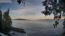 ./images/koeye/fitz-hugh/20260504/fitz-hugh20260504_062501M.jpg