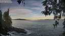 ./images/koeye/fitz-hugh/20260504/fitz-hugh20260504_064502M.jpg