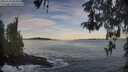 ./images/koeye/fitz-hugh/20260504/fitz-hugh20260504_065002M.jpg