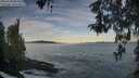 ./images/koeye/fitz-hugh/20260504/fitz-hugh20260504_065501M.jpg
