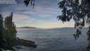 ./images/koeye/fitz-hugh/20260504/fitz-hugh20260504_070001M.jpg