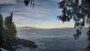./images/koeye/fitz-hugh/20260504/fitz-hugh20260504_070501M.jpg