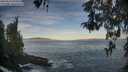 ./images/koeye/fitz-hugh/20260504/fitz-hugh20260504_071001M.jpg