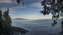 ./images/koeye/fitz-hugh/20260504/fitz-hugh20260504_073001M.jpg