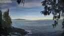 ./images/koeye/fitz-hugh/20260504/fitz-hugh20260504_074001M.jpg