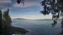./images/koeye/fitz-hugh/20260504/fitz-hugh20260504_074502M.jpg