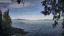 ./images/koeye/fitz-hugh/20260504/fitz-hugh20260504_075001M.jpg