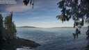./images/koeye/fitz-hugh/20260504/fitz-hugh20260504_075501M.jpg
