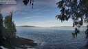 ./images/koeye/fitz-hugh/20260504/fitz-hugh20260504_080501M.jpg