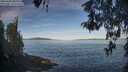 ./images/koeye/fitz-hugh/20260504/fitz-hugh20260504_081001M.jpg