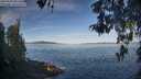 ./images/koeye/fitz-hugh/20260504/fitz-hugh20260504_081501M.jpg