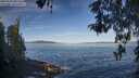 ./images/koeye/fitz-hugh/20260504/fitz-hugh20260504_082001M.jpg