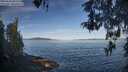 ./images/koeye/fitz-hugh/20260504/fitz-hugh20260504_082501M.jpg