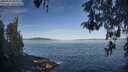 ./images/koeye/fitz-hugh/20260504/fitz-hugh20260504_083001M.jpg