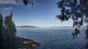./images/koeye/fitz-hugh/20260504/fitz-hugh20260504_083501M.jpg
