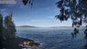 ./images/koeye/fitz-hugh/20260504/fitz-hugh20260504_084001M.jpg
