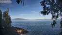 ./images/koeye/fitz-hugh/20260504/fitz-hugh20260504_084501M.jpg