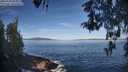 ./images/koeye/fitz-hugh/20260504/fitz-hugh20260504_085002M.jpg