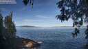 ./images/koeye/fitz-hugh/20260504/fitz-hugh20260504_085501M.jpg