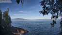 ./images/koeye/fitz-hugh/20260504/fitz-hugh20260504_090501M.jpg