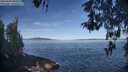 ./images/koeye/fitz-hugh/20260504/fitz-hugh20260504_091001M.jpg