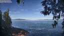 ./images/koeye/fitz-hugh/20260504/fitz-hugh20260504_092501M.jpg