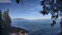 ./images/koeye/fitz-hugh/20260504/fitz-hugh20260504_093001M.jpg