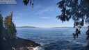./images/koeye/fitz-hugh/20260504/fitz-hugh20260504_093501M.jpg