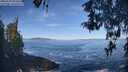 ./images/koeye/fitz-hugh/20260504/fitz-hugh20260504_094501M.jpg