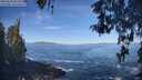 ./images/koeye/fitz-hugh/20260504/fitz-hugh20260504_095001M.jpg
