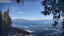 ./images/koeye/fitz-hugh/20260504/fitz-hugh20260504_095501M.jpg