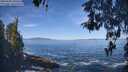 ./images/koeye/fitz-hugh/20260504/fitz-hugh20260504_100501M.jpg