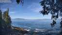 ./images/koeye/fitz-hugh/20260504/fitz-hugh20260504_101001M.jpg