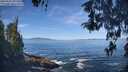 ./images/koeye/fitz-hugh/20260504/fitz-hugh20260504_101501M.jpg