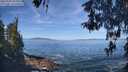 ./images/koeye/fitz-hugh/20260504/fitz-hugh20260504_103501M.jpg