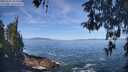 ./images/koeye/fitz-hugh/20260504/fitz-hugh20260504_104001M.jpg
