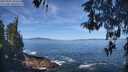 ./images/koeye/fitz-hugh/20260504/fitz-hugh20260504_104502M.jpg