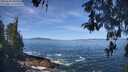 ./images/koeye/fitz-hugh/20260504/fitz-hugh20260504_105501M.jpg