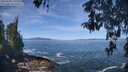 ./images/koeye/fitz-hugh/20260504/fitz-hugh20260504_111001M.jpg