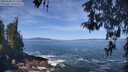 ./images/koeye/fitz-hugh/20260504/fitz-hugh20260504_111501M.jpg
