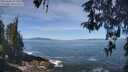 ./images/koeye/fitz-hugh/20260504/fitz-hugh20260504_113501M.jpg