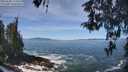 ./images/koeye/fitz-hugh/20260504/fitz-hugh20260504_114501M.jpg