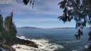 ./images/koeye/fitz-hugh/20260504/fitz-hugh20260504_115002M.jpg